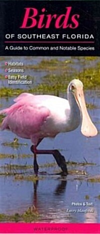 Birds of Southeast Florida: A Guide to Common & Notable Species (Other)