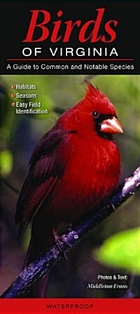 Birds of Virginia: A Guide to Common & Notable Species (Other)