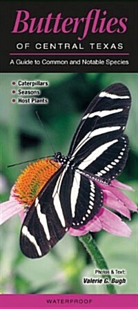 Butterflies of Central Texas: A Guide to Common & Notable Species (Other)