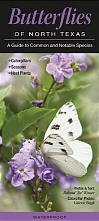 Butterflies of North Texas: A Guide to Common & Notable Species (Other)