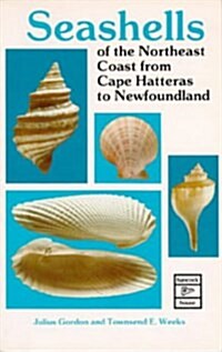 Seashells of the Northeast Coast from Cape Hatters to Newfoundland (Paperback)