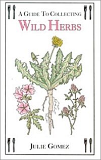 Guide to Collecting Wild Herbs (Paperback)