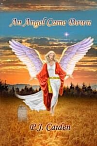 An Angel Came Down (Paperback)