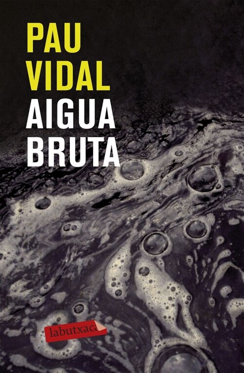 AIGUA BRUTA (Paperback)