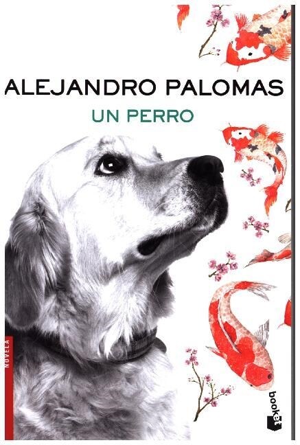 UN PERRO (BOOKET) (Paperback)