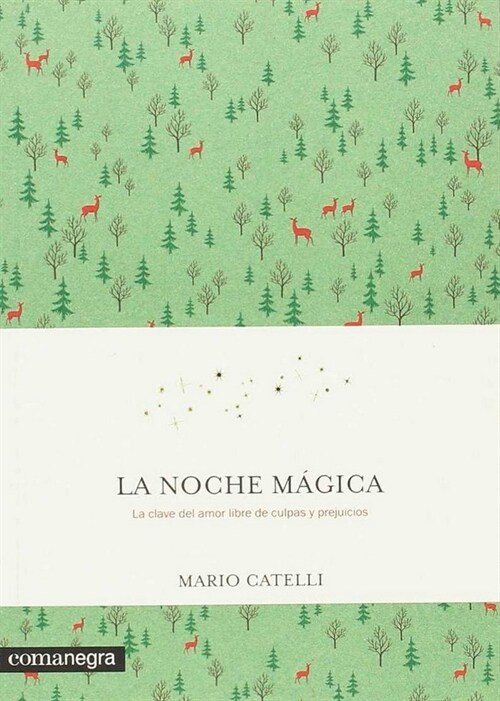 LA NOCHE MAGICA (Paperback)