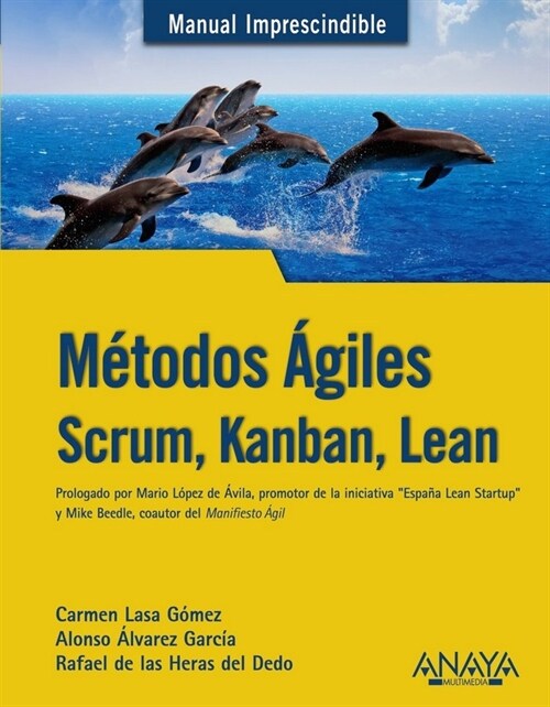 METODOS AGILES. SCRUM, KANBAN, LEAN (Paperback)