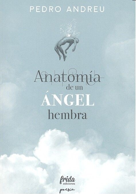 ANATOMIA DE UN ANGEL HEMBRA (Paperback)