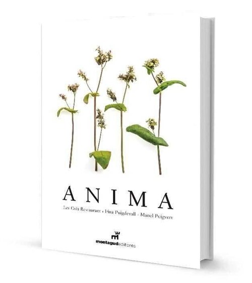 ANIMA (Paperback)