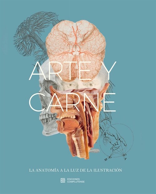 ARTE Y CARNE. LA ANATOMIA A LA LUZDE LA ILUSTRACION (Paperback)