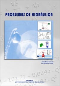 PROBLEMAS DE HIDRAULICA (Paperback)