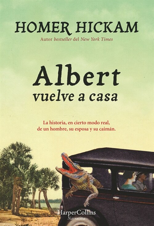 ALBERT VUELVE A CASA (Paperback)