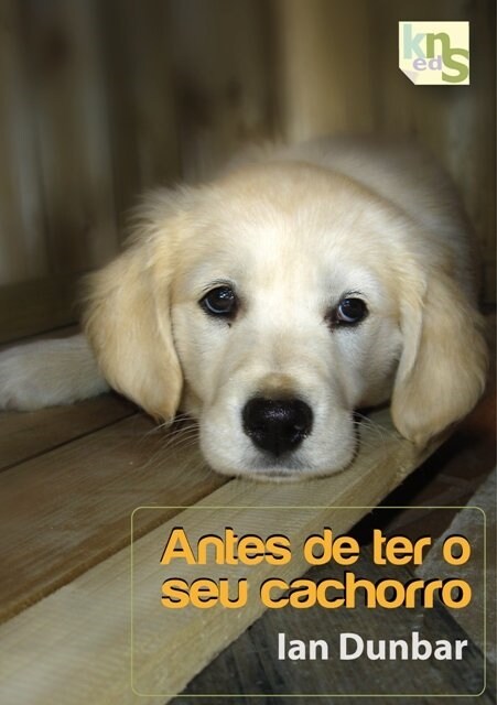 ANTES DE TER O SEU CACHORRO (Paperback)