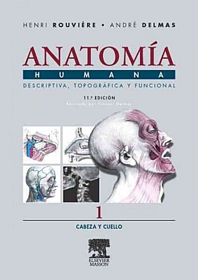 ANATOMIA HUMANA (VOL. I): CABEZA YCUELLO (DESCRIPTIVA, TOPOGRAFICA YFUNCIONAL) (Paperback)