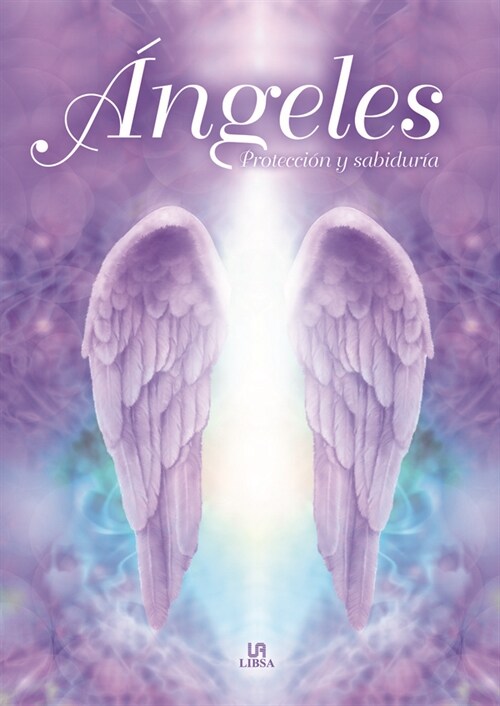 ANGELES PROTECCION Y SABIDURIA (Paperback)