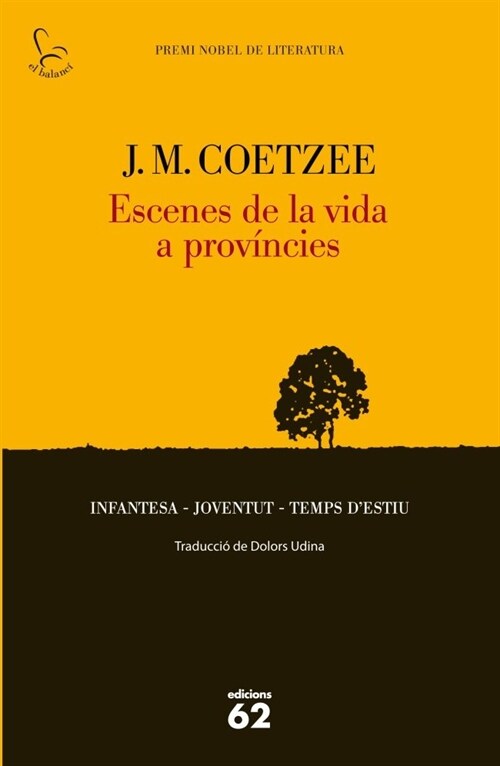 ESCENES DE LA VIDA A PROVINCIES (Paperback)