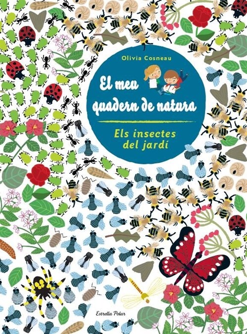 INSECTES. EL MEU QUADERN DE NATURA (Paperback)