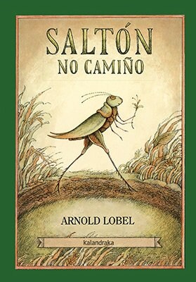 SALTON NO CAMINO (Hardcover)