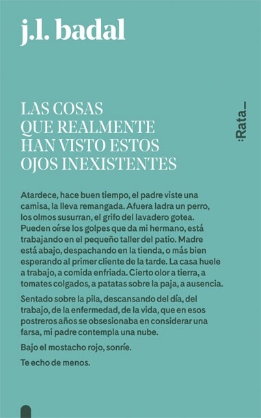 LAS COSAS QUE REALMENTE HAN VISTO ESTOS OJOS INEXISTENTES (Paperback)