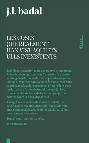 LES COSES QUE REALMENT HAN VIST AQUESTS ULLS INEXISTENTS (Paperback)