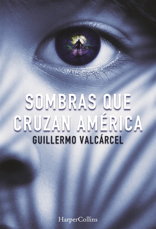 SOMBRAS QUE CRUZAN AMERICA (Paperback)