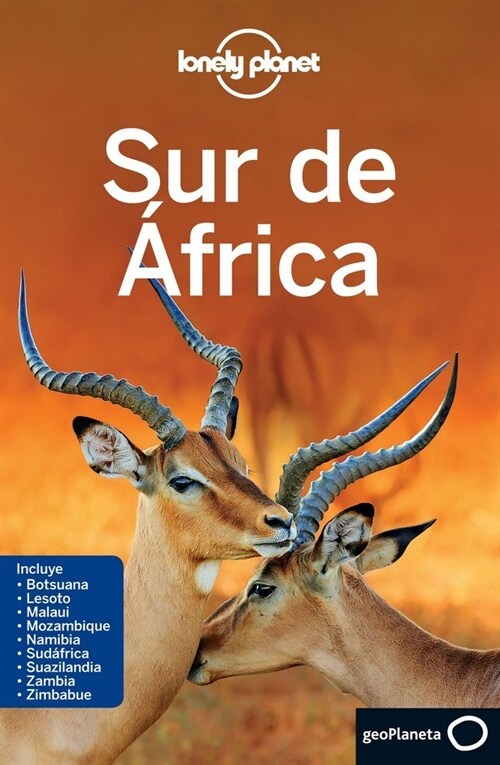 SUR DE AFRICA 3 (Paperback)