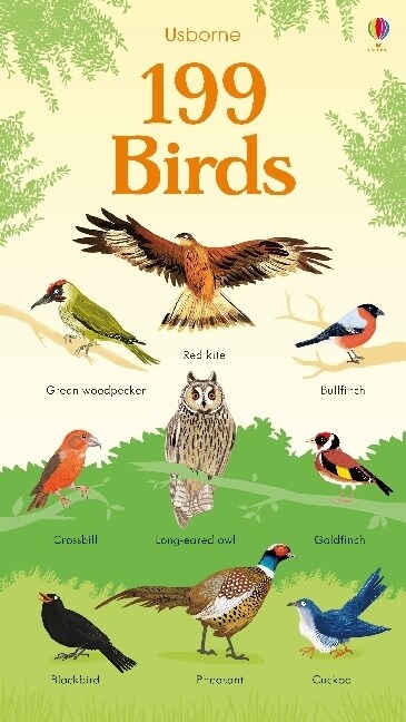 199 Birds (Board Book)