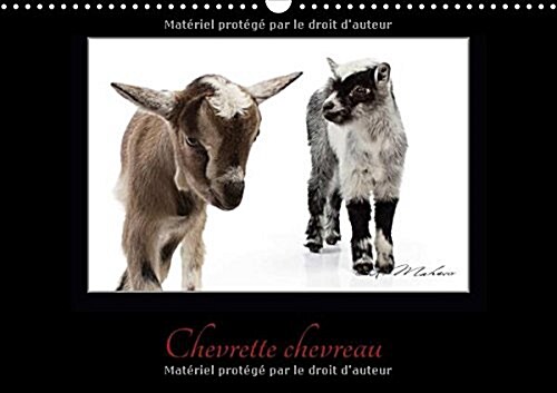Chevrette chevreau 2018 : La chevre un etre intelligent et curieux. (Calendar)