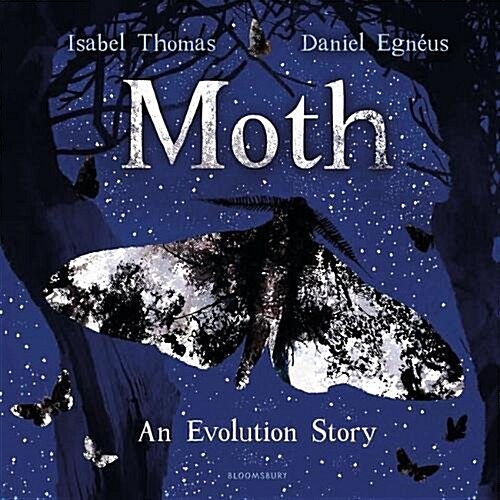 Moth (Hardcover)