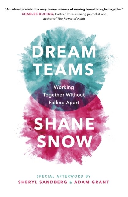 Dream Teams : Working Together Without Falling Apart (Paperback)