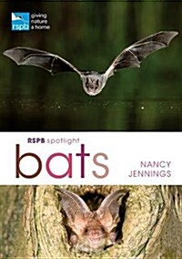 RSPB SPOTLIGHT BATS (Paperback)