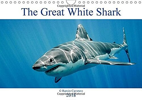 The Great White Shark: King of the Ocean 2018 : The great white shark: king of the ocean (Calendar)