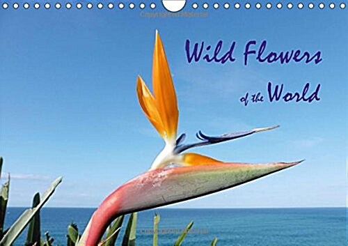 Wild Flowers of the World 2018 : A collection of vibrant images portraying the  diversity of international botany (Calendar)