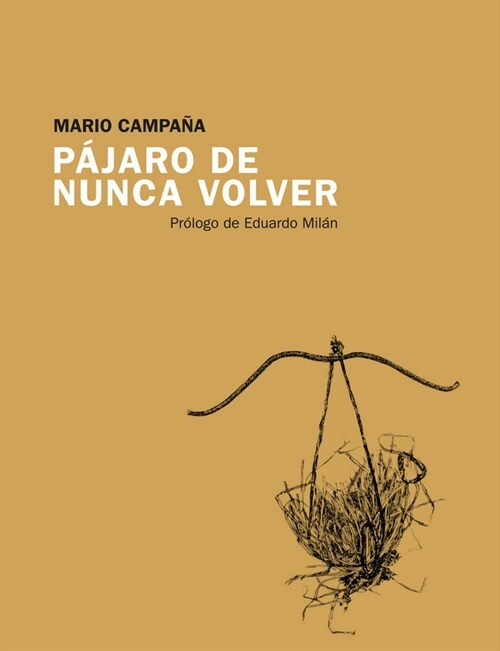 PAJARO DE NUNCA VOLVER (Paperback)