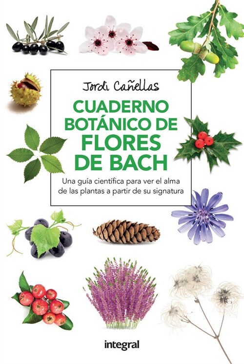 CUADERNO BOTANICO DE FLORES DE BACH (Paperback)