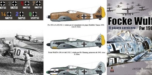 FOCKE WULF (Paperback)