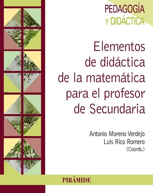 ENSENANZA Y APRENDIZAJE DE LAS MATEMATICAS EN EDUCACION SECUNDARIA (Paperback)