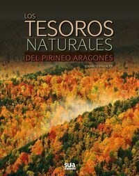 LOS TESOROS NATURALES DEL PIRINEO ARAGONES (Paperback)