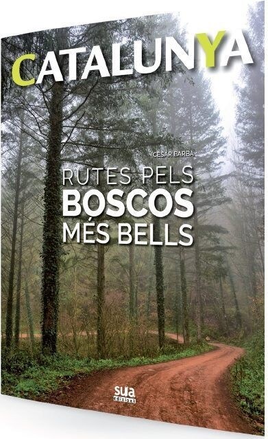 RUTES PELS BOSCOS MES BELLS (Paperback)