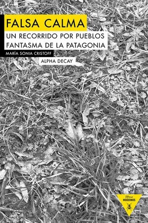 FALSA CALMA (Paperback)