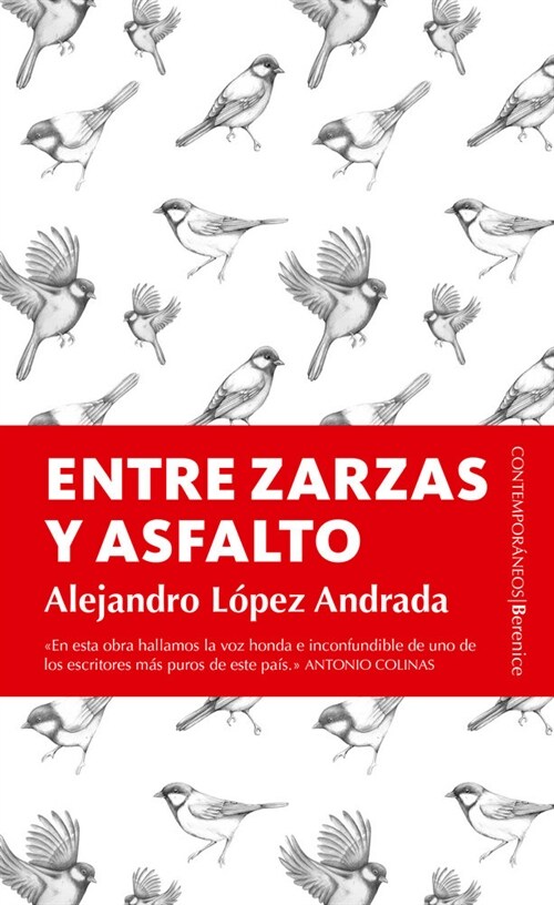 ENTRE ZARZAS Y ASFALTO (Paperback)