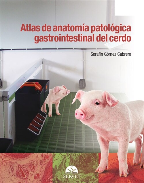 ATLAS DE ANATOMIA PATOLOGICA GASTROINTESTINAL DEL CERDO (Hardcover)