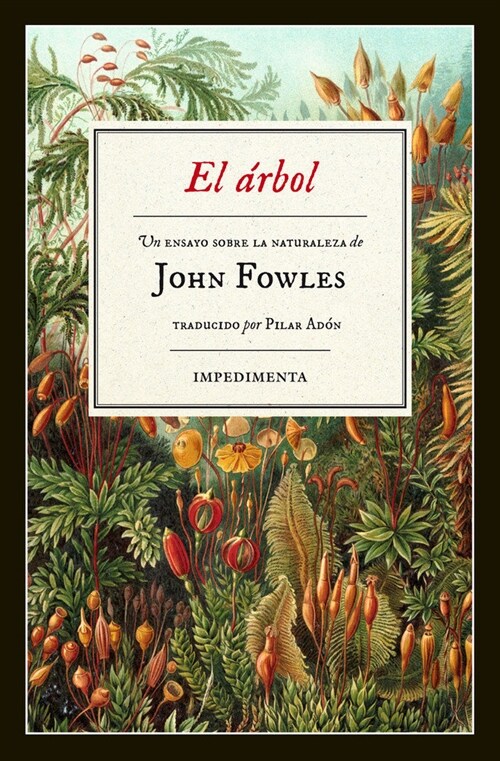 EL ARBOL (Paperback)