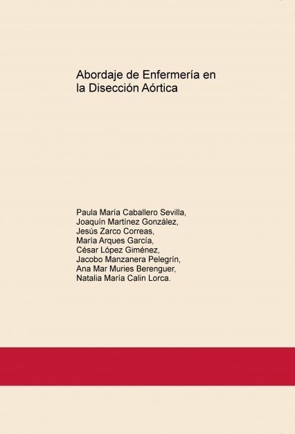 ABORDAJE DE ENFERMERIA EN LA DISECCION AORTICA (Paperback)