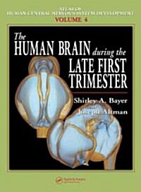 The Human Brain During the Late First Trimester (Hardcover)