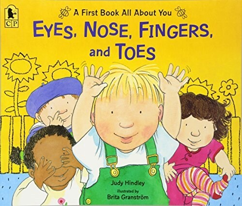 Eyes, Nose, Fingers, and Toes: A First Book All about You (Paperback)