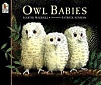 Owl Babies (Paperback, 미국판)