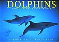 Dolphins (STY, POS)