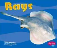 Rays (Library Binding)