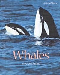 Whales (Library Binding)